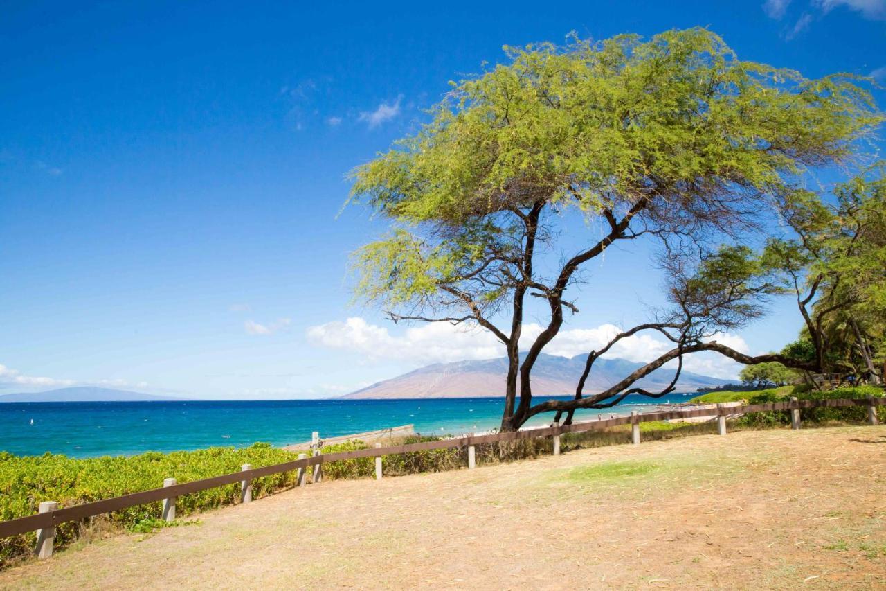 ワイレア Hale Kamaole 254ヴィラ エクステリア 写真