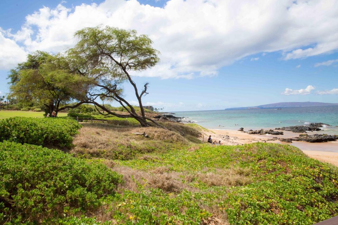 ワイレア Hale Kamaole 254ヴィラ エクステリア 写真